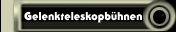Gelenkteleskopb&uuml;hnen